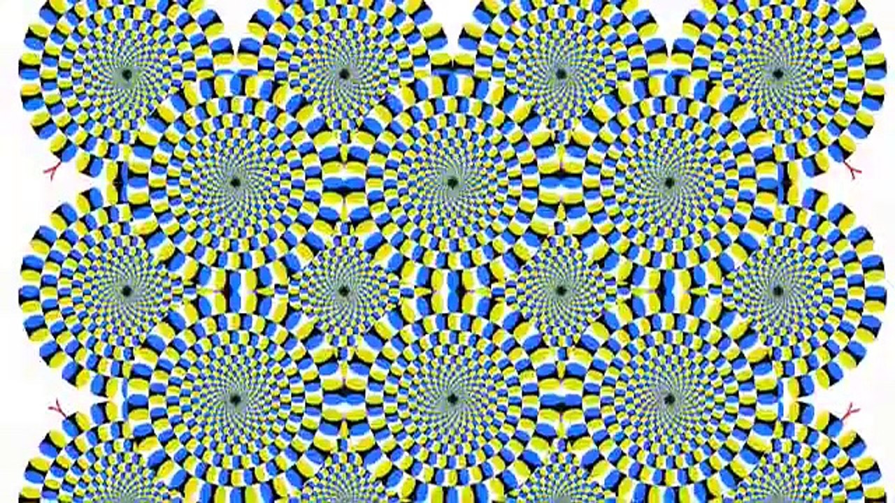 Sensation and Perception