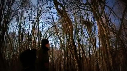 Siberian Tiger documentary HQ