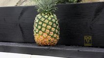 RIP ammo vs Pineapple - RatedRR Slow Mo