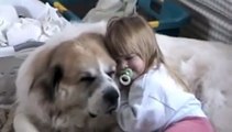 Great Pyrenees and Little GIrl