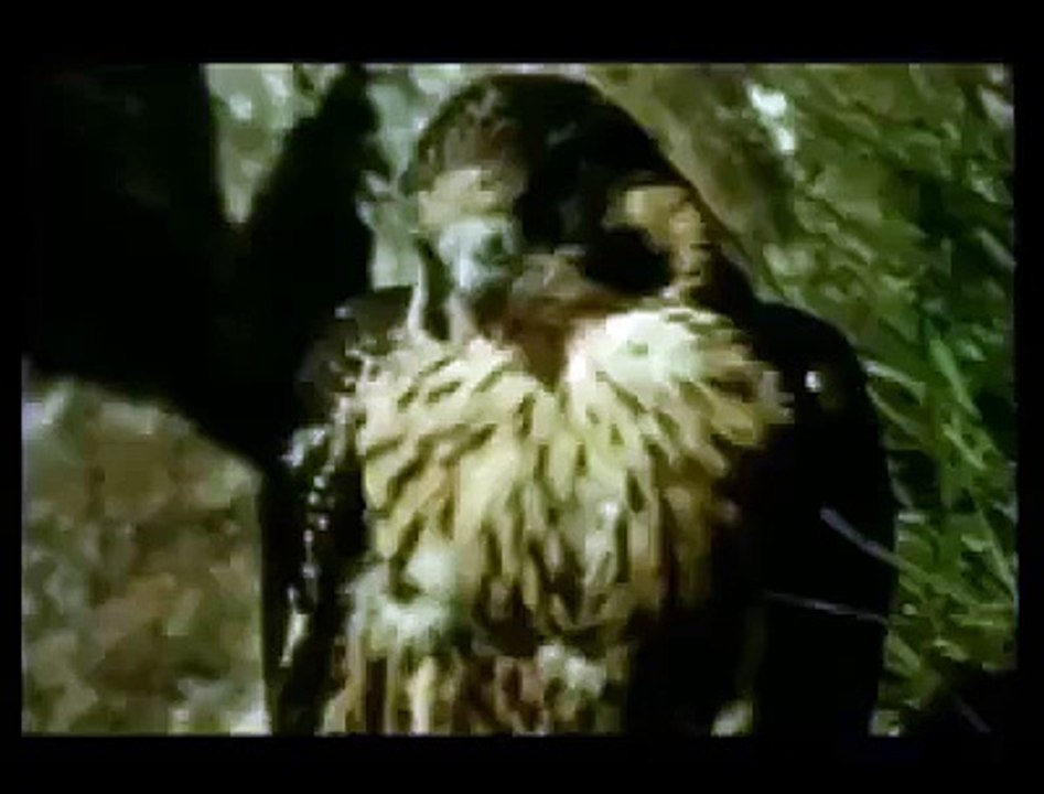 Abbey National 'Real Freedom' TV ad - 30 sec advert