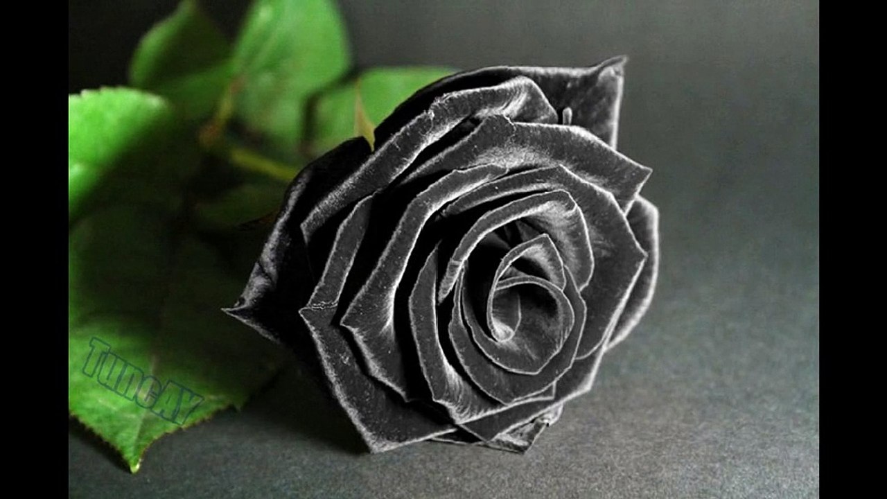 Nurettin Rençber Karagül