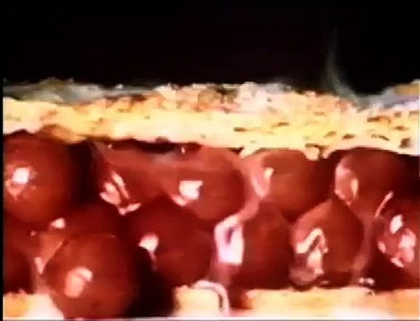 Birds 'Dream Topping' TV ad - 30 sec advert