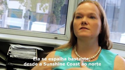 Cidade de Brisbane - Austrália