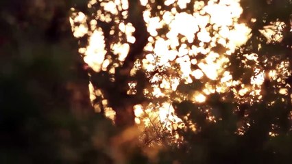 "Easter Song" performed by Matthew Ward