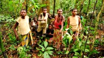 Congo Basin: Ba'Aka Pygmies Celebrate Successful Hunt