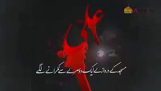 Shab E Zarbat E Maula Ali (a.s)