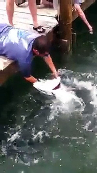 Funny video