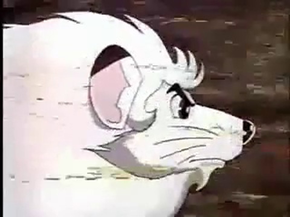 le roi léo japonais générique Freiss p présente ma vie en chanson quand j'avais 10 ans en 1973 notre 1ère tv après 1969