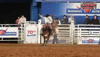 Rodeio é cultura, esporte ou crueldade?