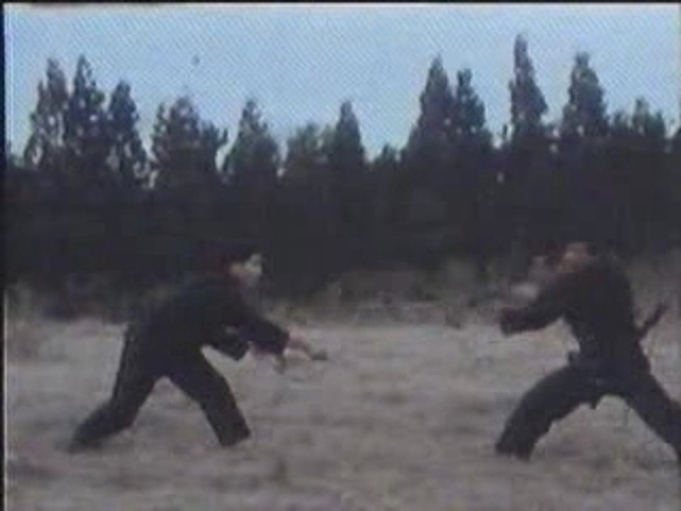 Ninjutsu secrets from the grandmaster