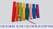 Glockenspiel, Xylophone Made Of Wood With 8 Colored Sound Plate Guide