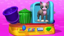 TuTiTu Animals | Animal Toys for Children | Cat