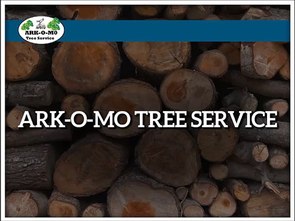 Tree Stump Removal Services at Unbeatable Price