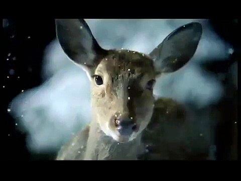 Дима Билан - Я тебя помню