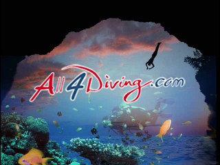 Scuba Diving Phuket | Diving in Thailand | PADI diving center