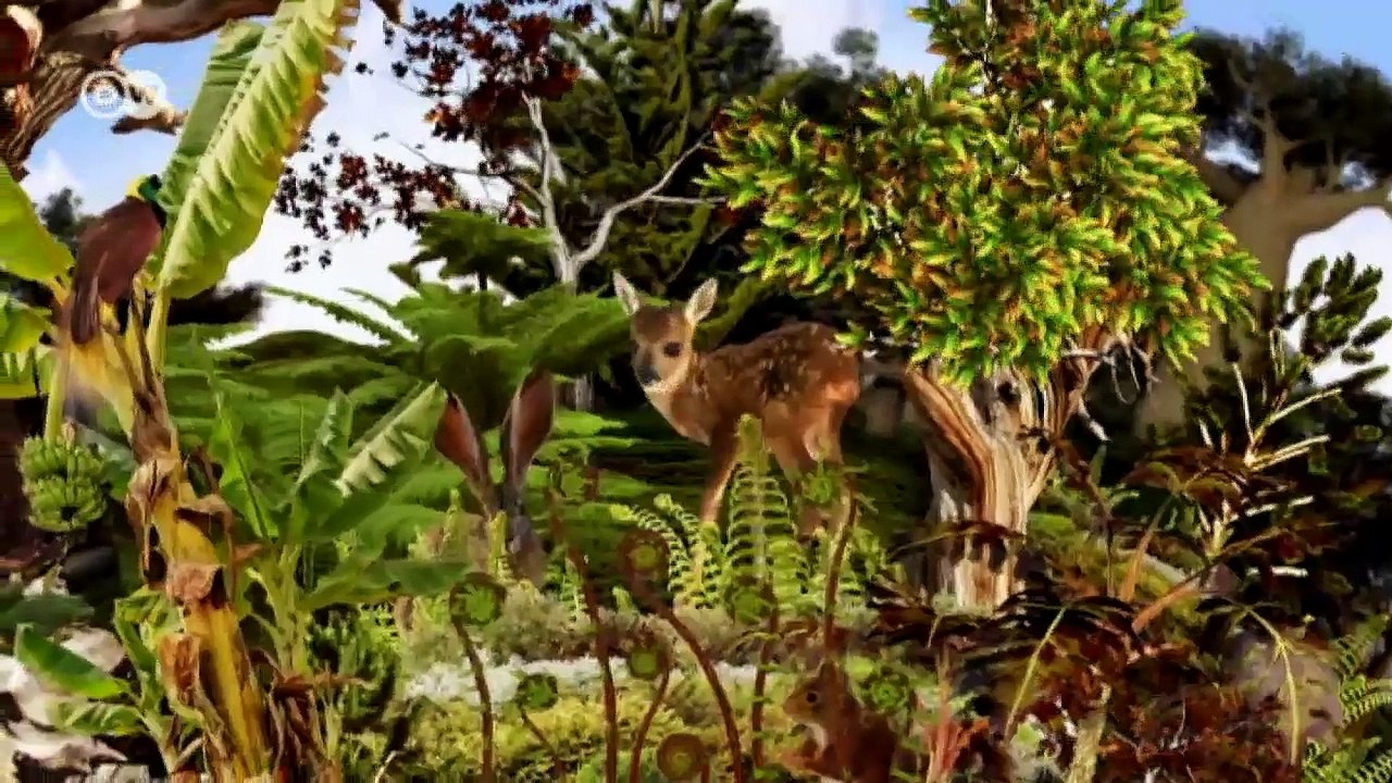 Global Ideas: Uganda - Ökosystem in Gefahr | Global 3000