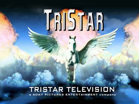 Download Never Back Down Full Movie