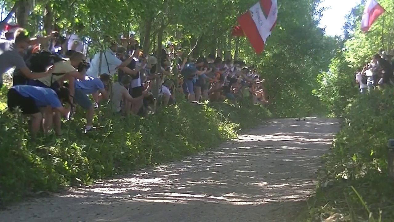 Compilation des plus beaux sauts lors du Rallye WRC 2015 en Pologne
