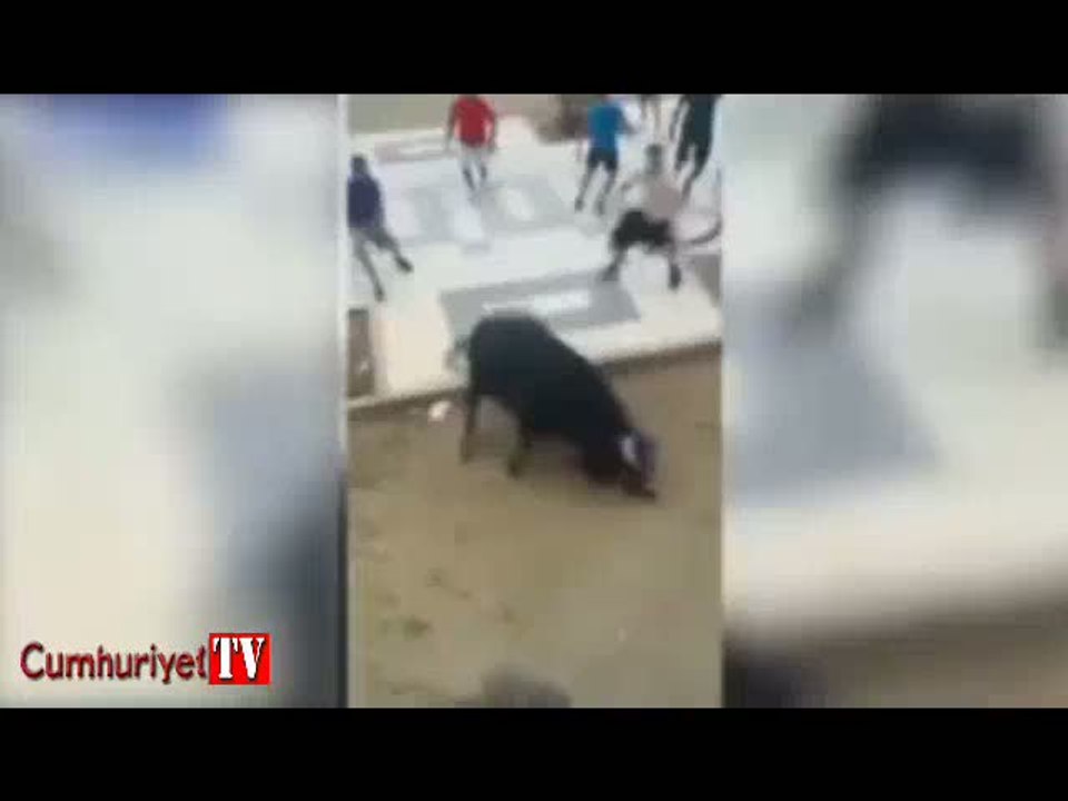 Boğa affetmedi...