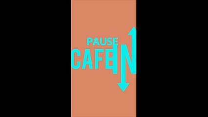 Un dauphin saute sur un bateau et casse la cheville d'une femme