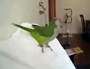 Filmlerdeki kötü kadın gülüşü bu olsa gerek