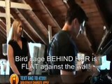 Ghost Adventures, Riddle House, Bird Cage. FAKE.