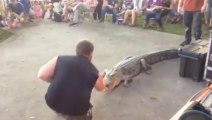 An alligator attacks a trainer at an area event. Fortunately the man was not seriously injured. FULL VIDEO HERE: