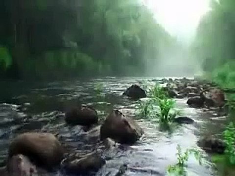 صوت الماء مع آيات من القرآن الكريم رائع