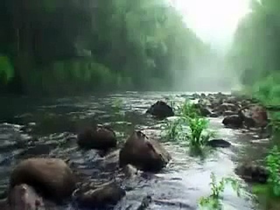 صوت الماء مع آيات من القرآن الكريم رائع