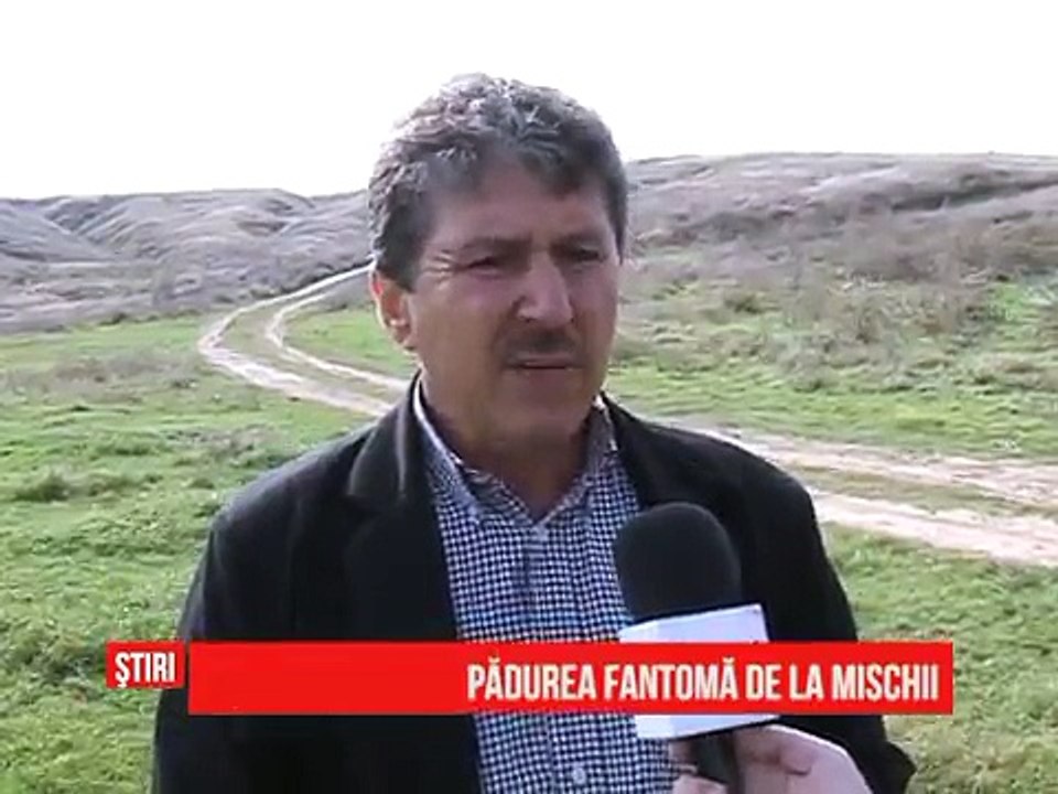 Pădurea fantomă de la Mischii