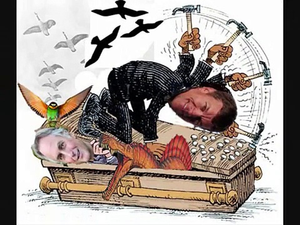 BIrd Evolution: It's Impossible Pt. 3
