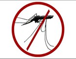 Tip 4: Insecticide Treated Nets -- How to use them properly