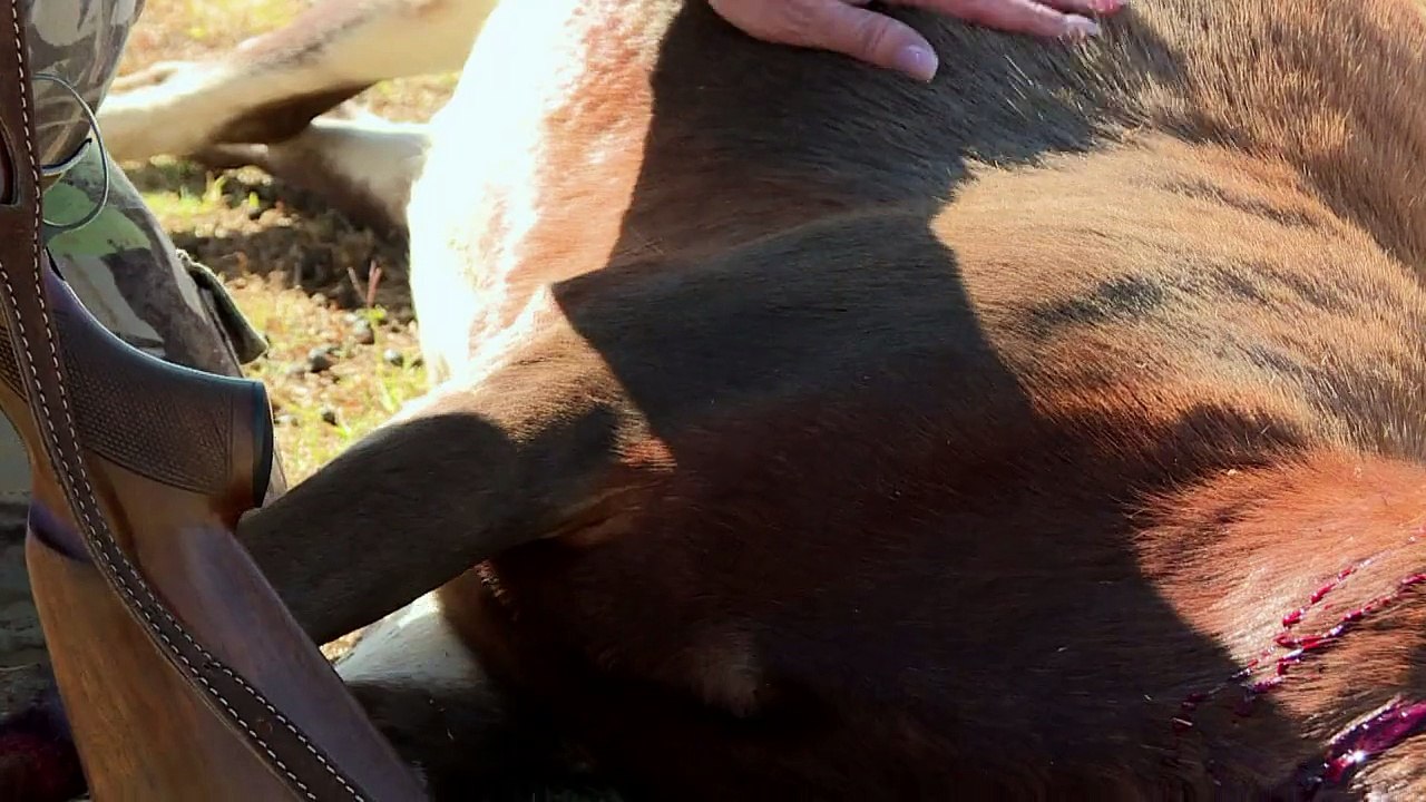 African game-hunters defend the right to shoot