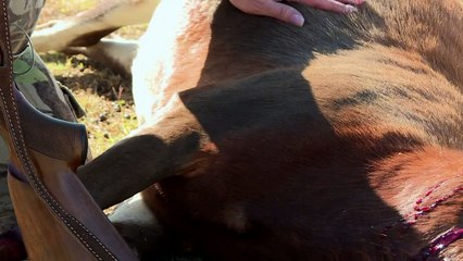 African game-hunters defend the right to shoot