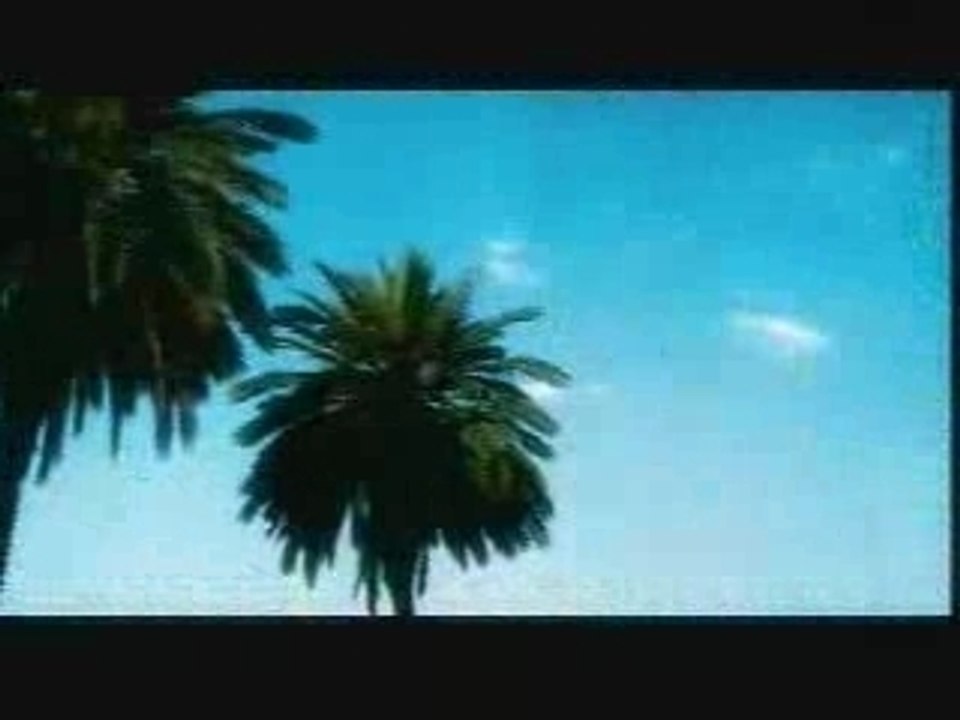 Summerwitmiamihi