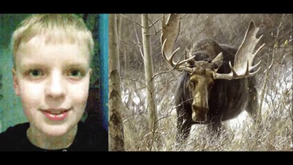 Norwegian boy uses World of Warcraft to save his sister from wild moose