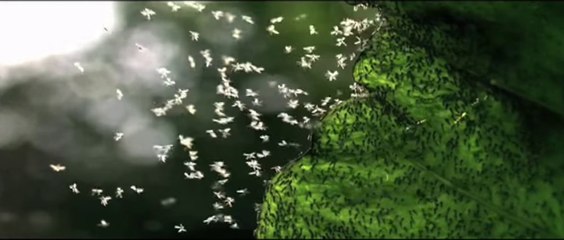 Meshuggah Swarm Fan Made Music Video HD