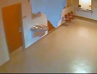 Raccoon falls through police station roof