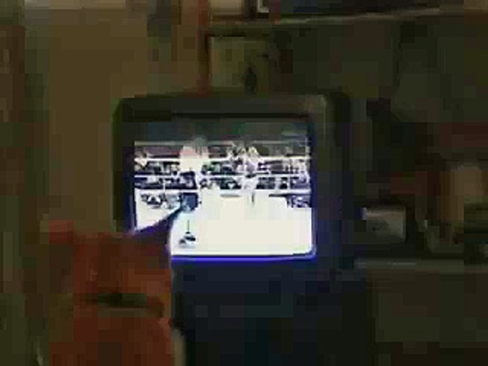 Funny Cat Doing Boxing ..!!