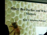 CCD,2of4,Keith Delaplane,Beekeeping colony collapse disorder,Israeli accute virus