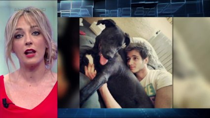 Ignacio pide una casa para Flama - El Hormiguero 3.0