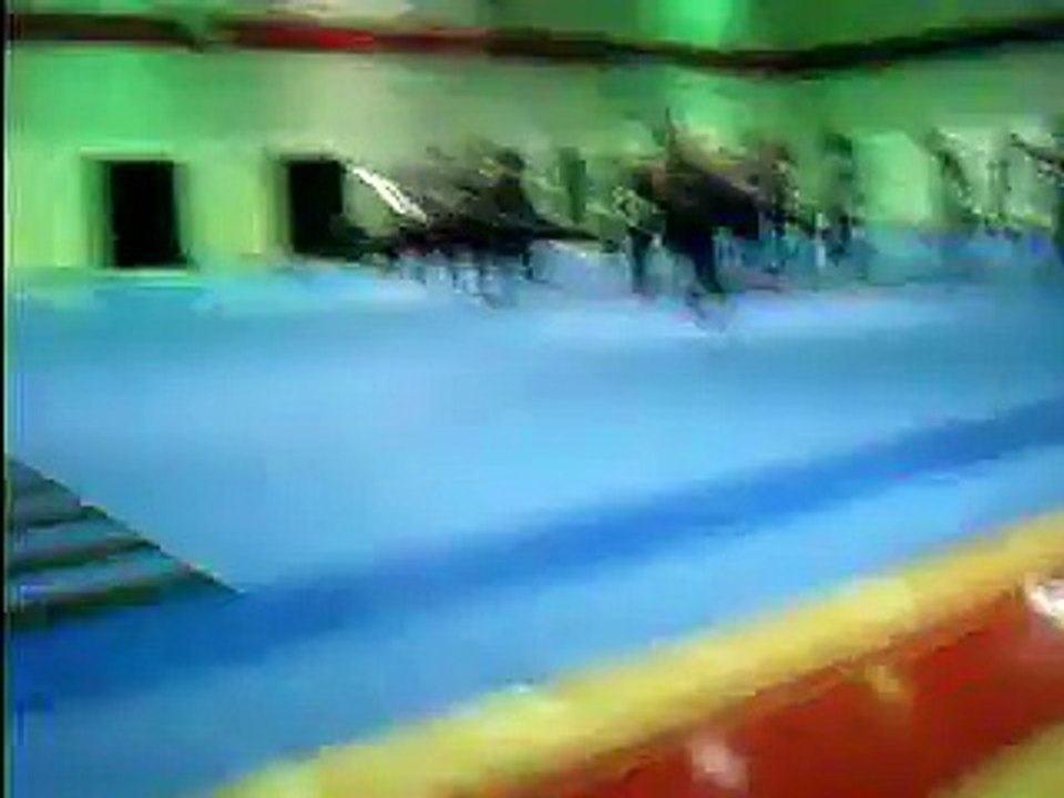 WC Color guard