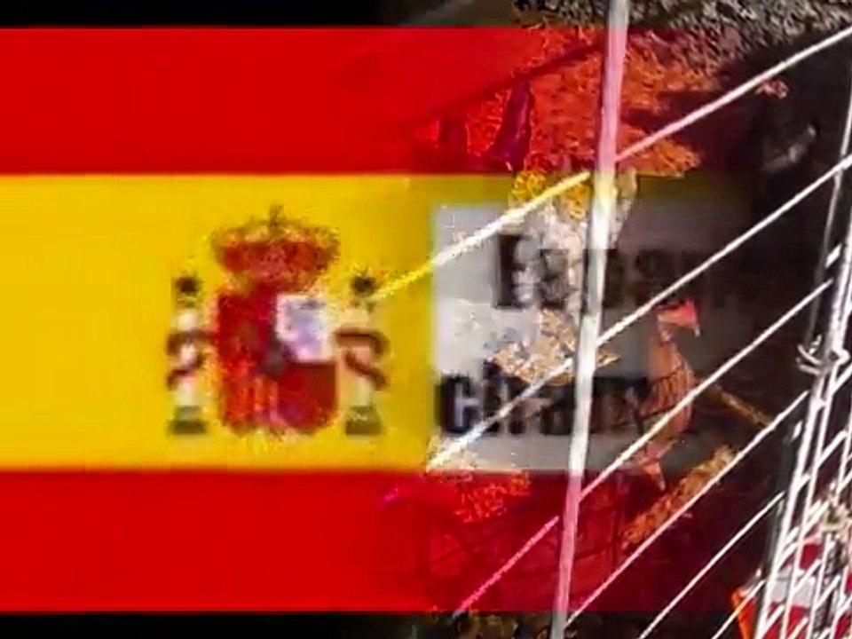 Pacopout31 coq espagnol