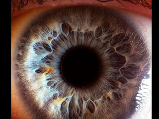 Human Eyes - EXTREME eye close-ups