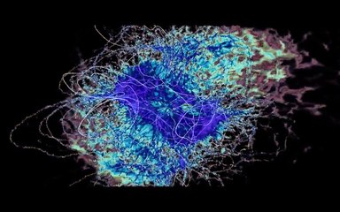 Arjuna - Chemical Jungle (Dark Psy Trance Visualization)