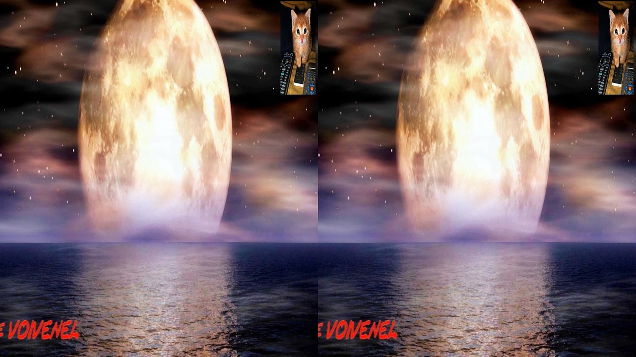 ILDA MARINHO artiste céramiste. 3D  wmv