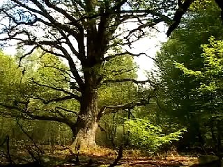 Geheimes Deutschland - Eine Reise zur Spiritualität der Frühromantik