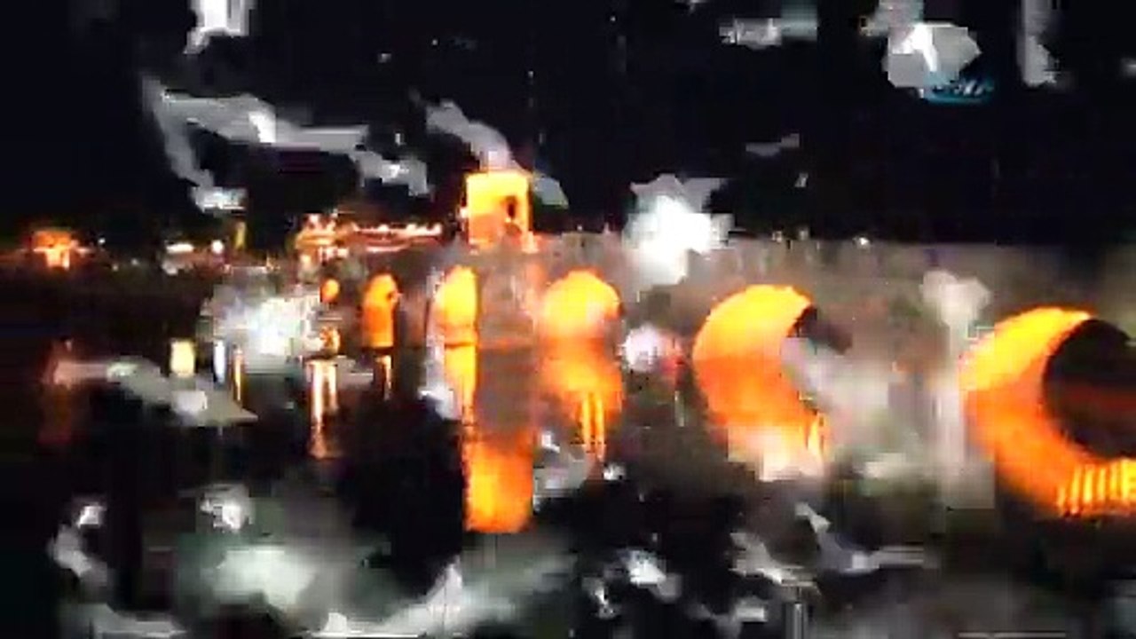 Kelebeklerin ışıkla dansı !