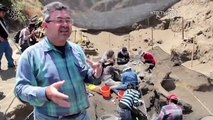 Arqueólogos descubren esqueleto de mamut en México